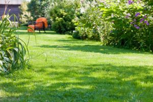 travaux jardin et paysage Beauregard-Vendon